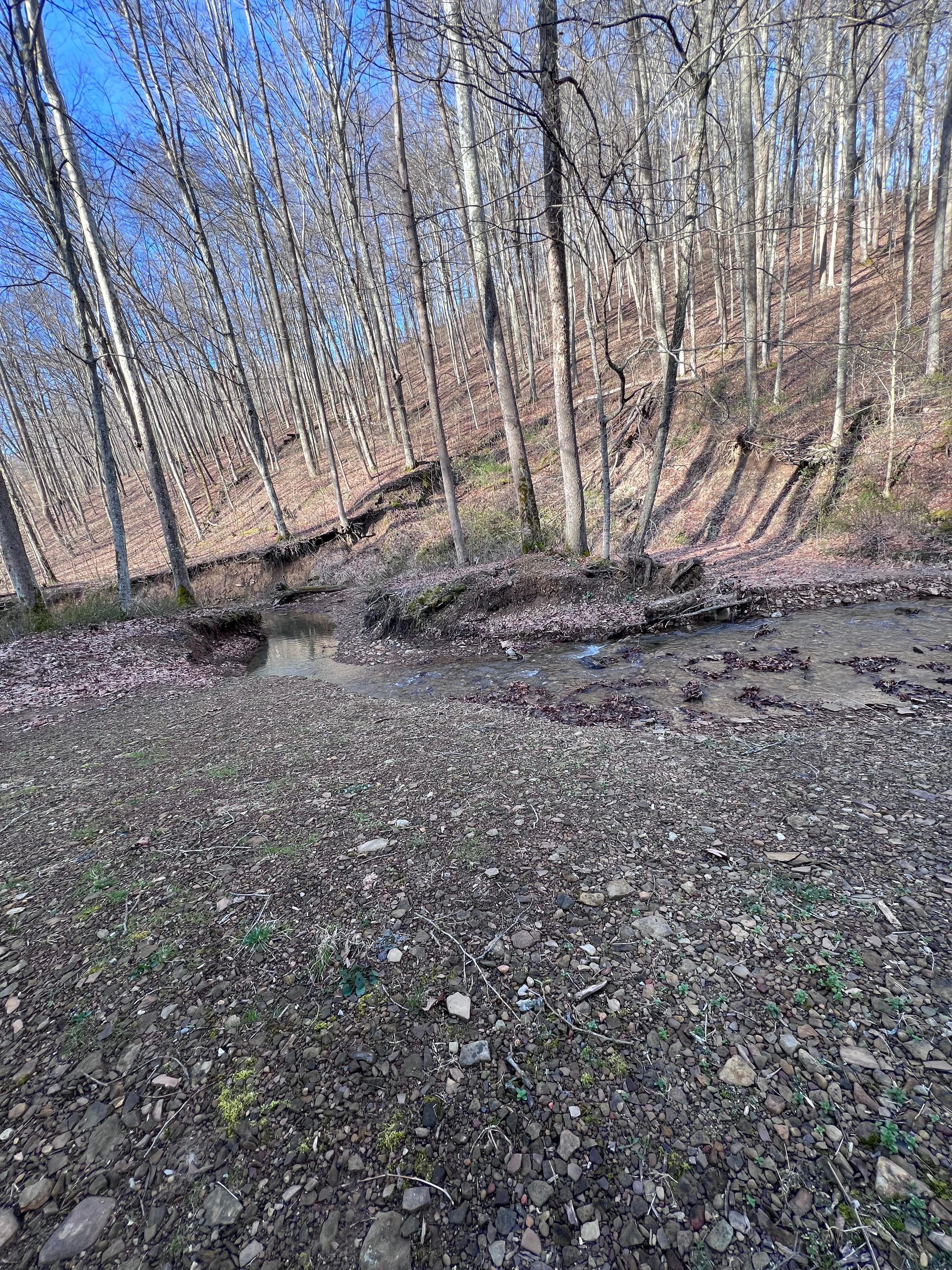 Creek behind cabin was very relaxing to listen to