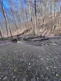 Creek behind cabin was very relaxing to listen to