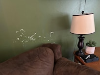 Paint in living room