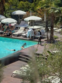 A view from our room of the pool.