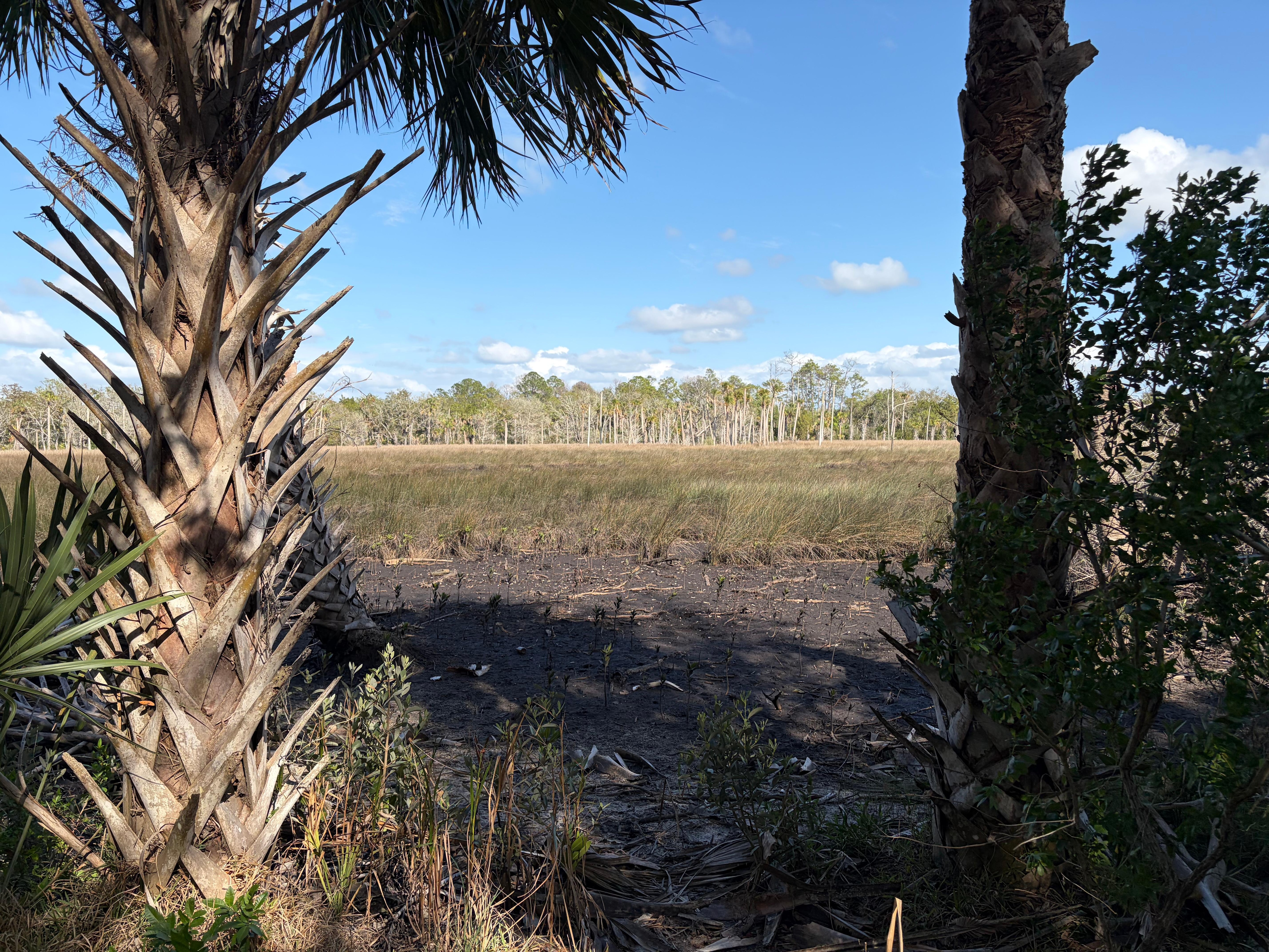 Hike in a nearby park