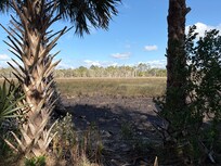 Hike in a nearby park