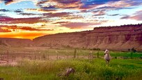 Gorgeous sunset with their stunning horse