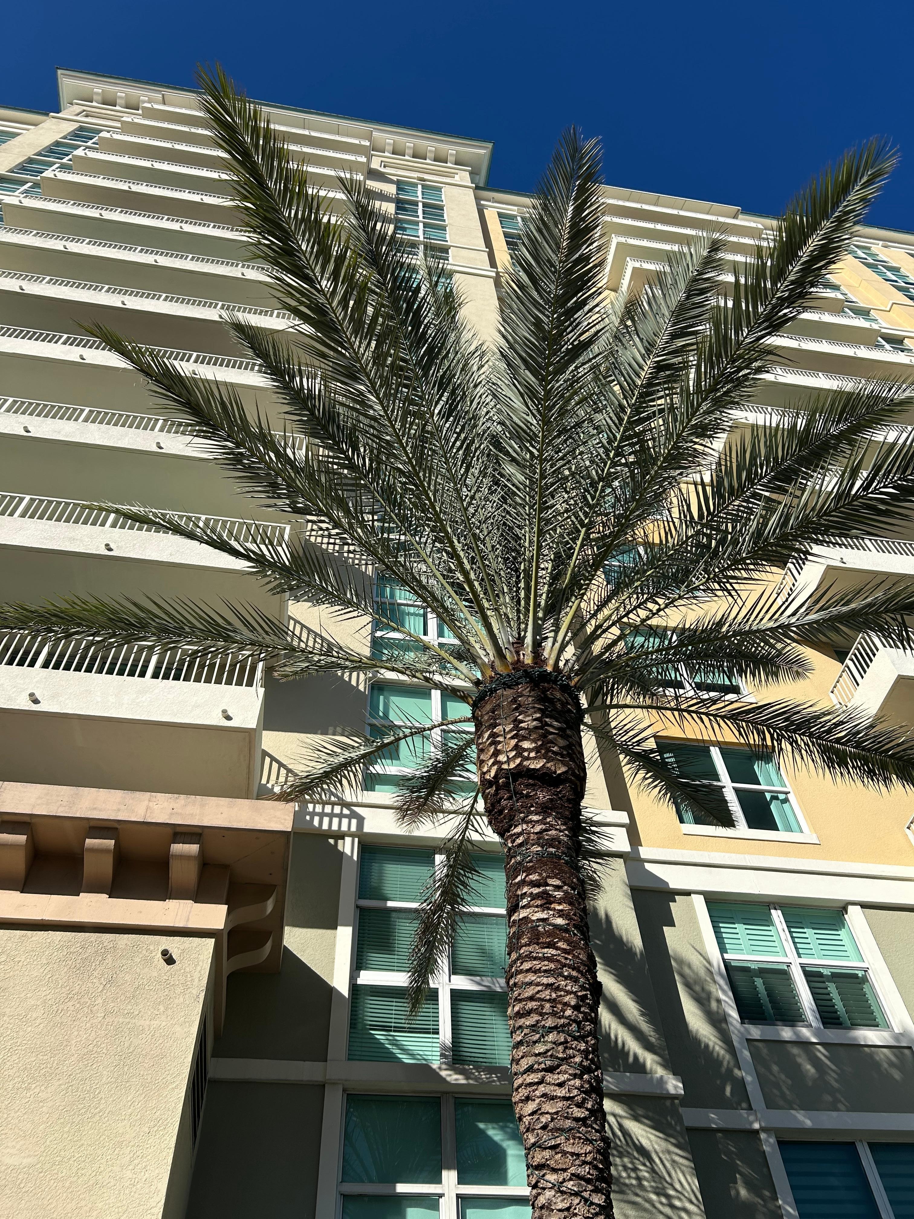 Front of the 625 building.