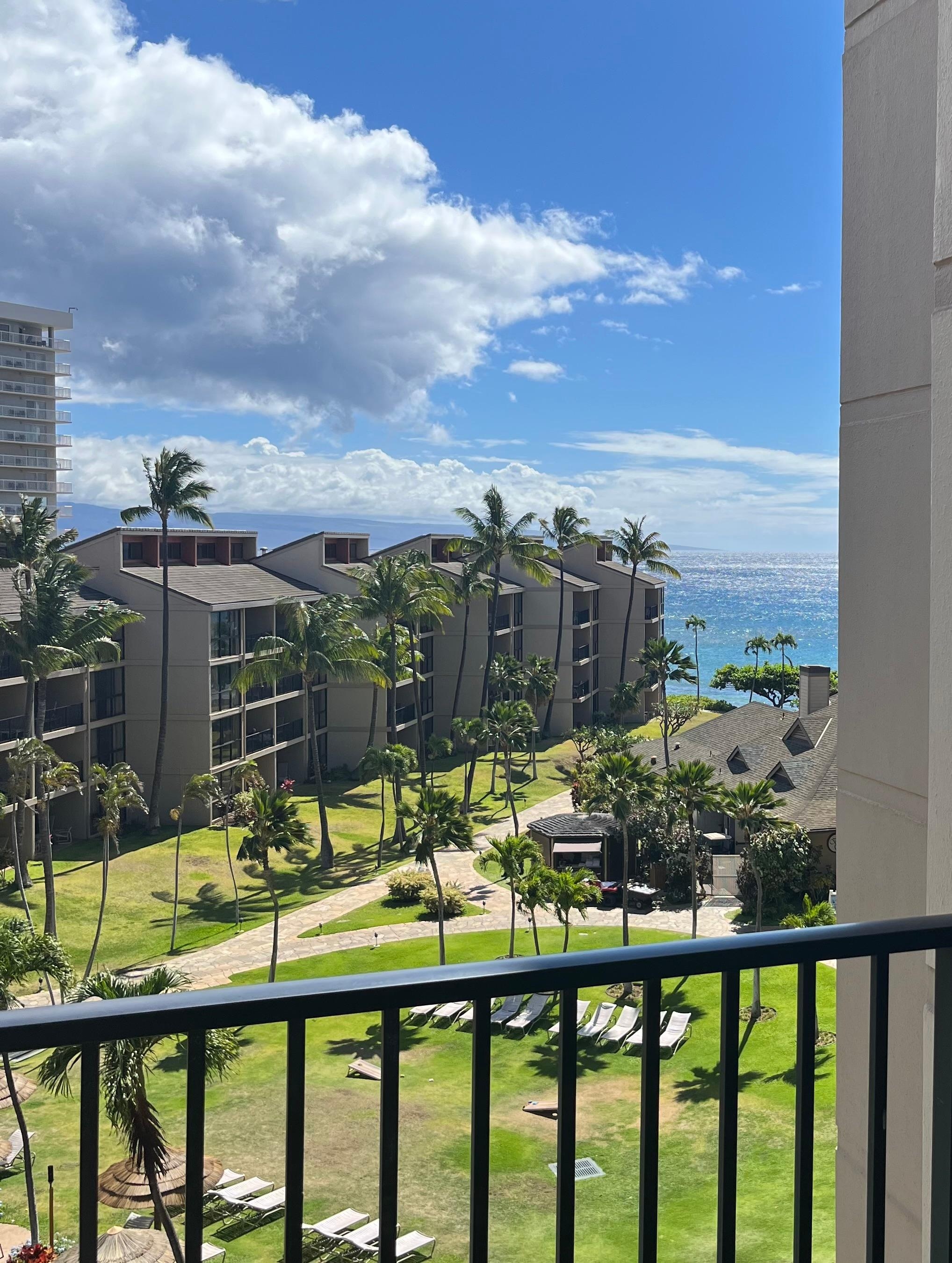 Patio view