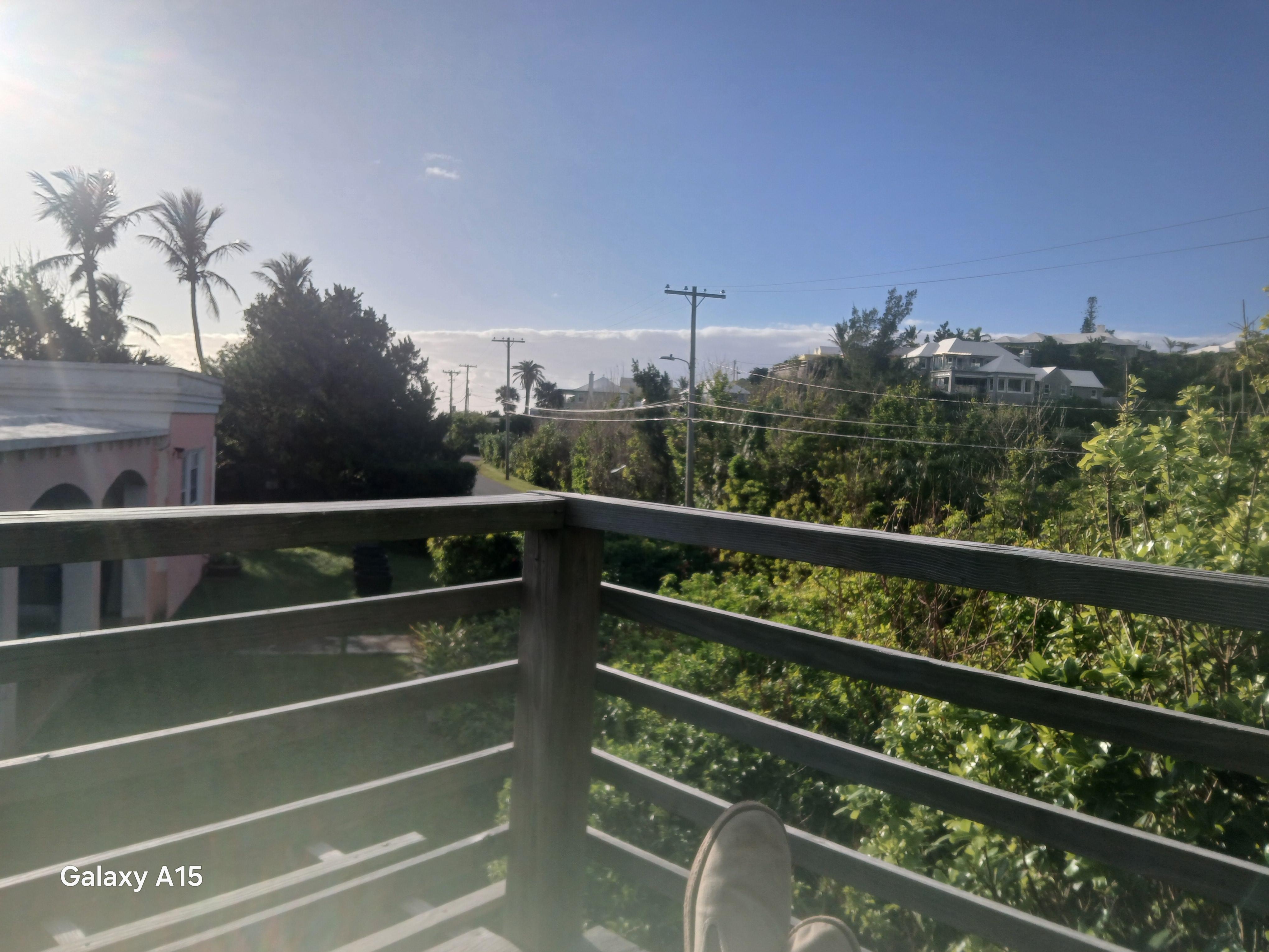 From treehouse at back of property