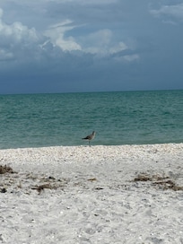 Beach views