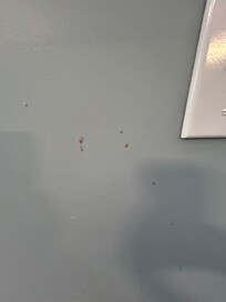 Drink splatter all over kitchen and dining room walls. I have video showing the whole area.