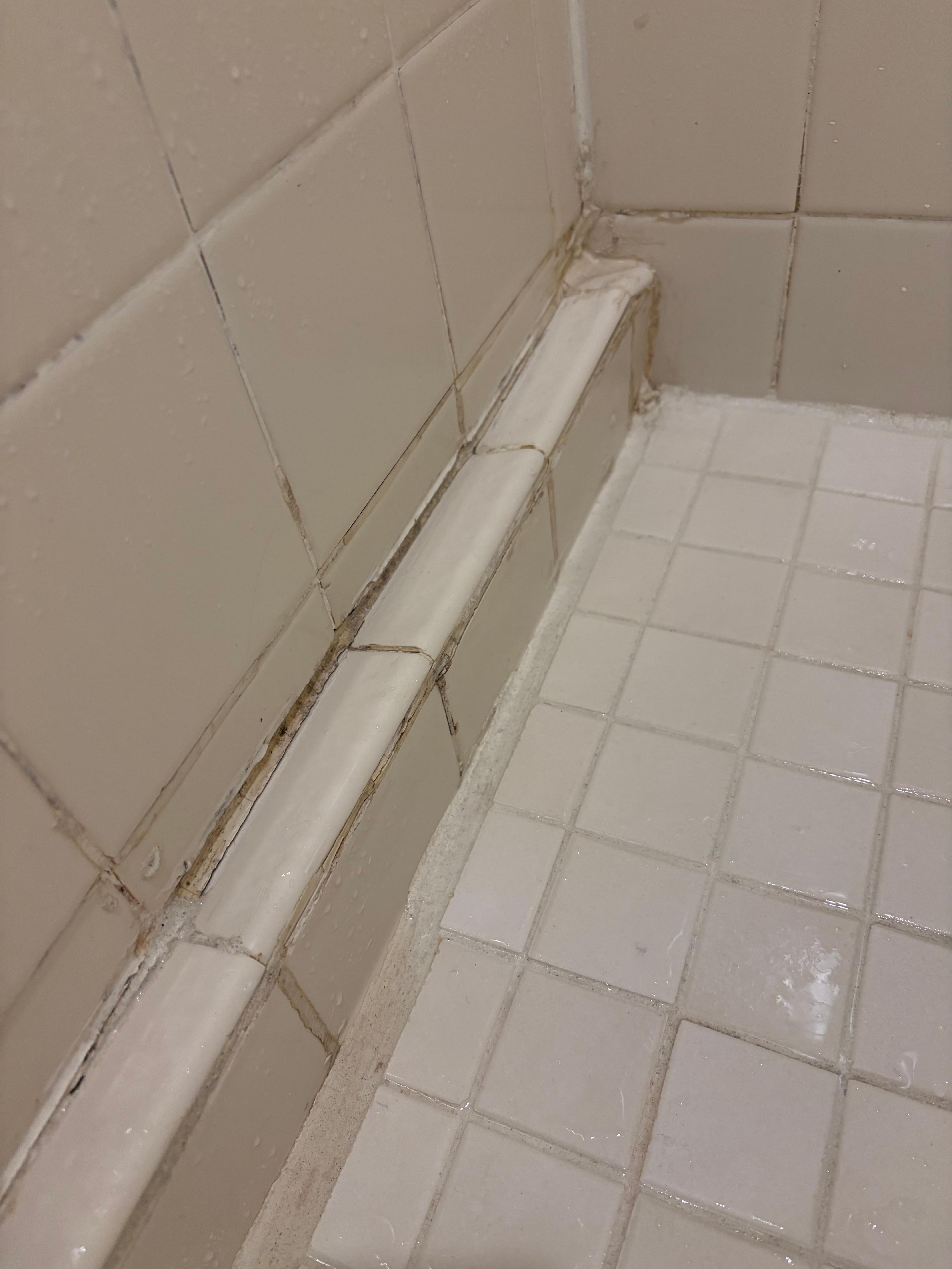 Dirty shower 