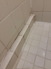 Dirty shower