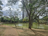 Parque Fkamboyant