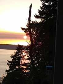 View from deck