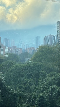 Vista de la habitacion