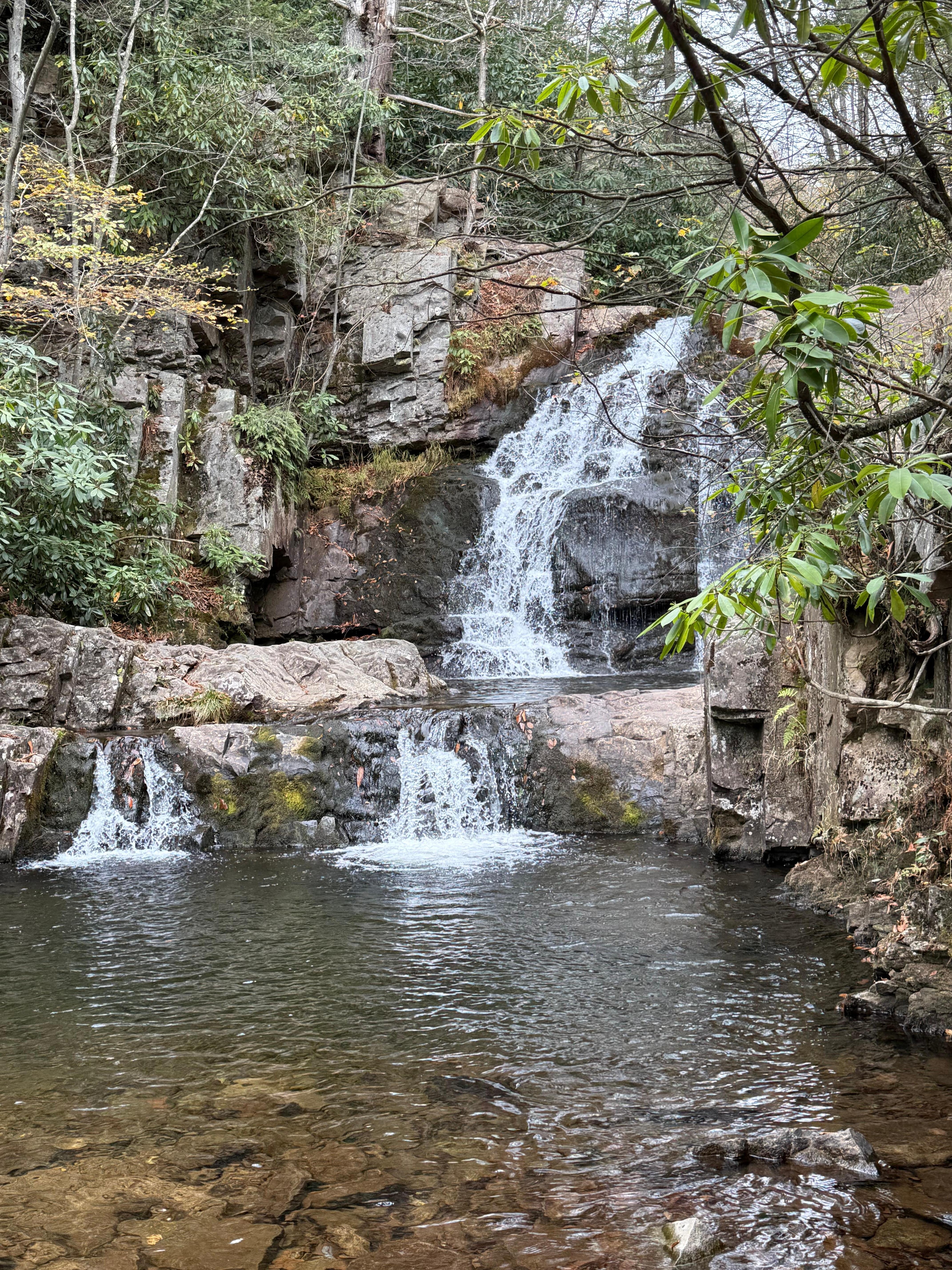 Hawk Falls trail in Hickory Run State Park! Kid friendly, short hike, and close by!