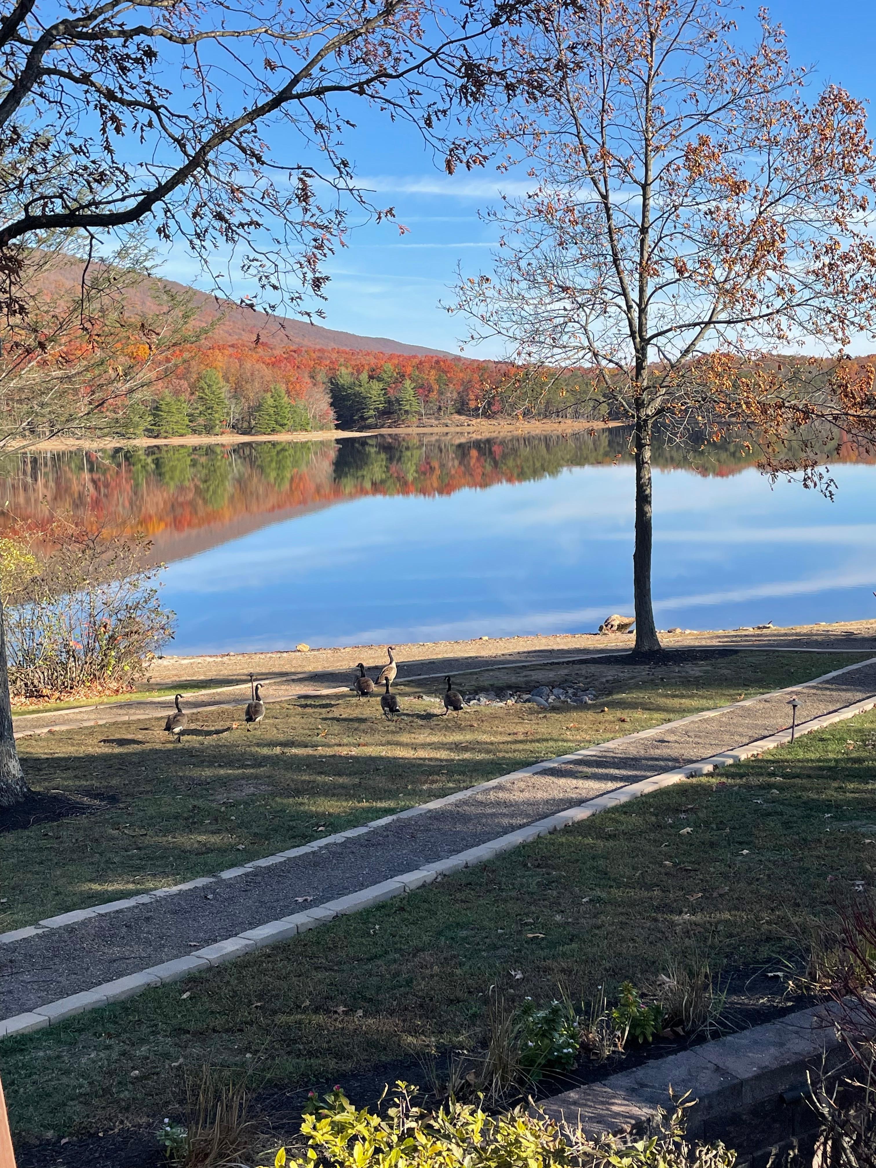 Some nature friends visited daily from lake. 