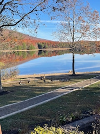 Some nature friends visited daily from lake.