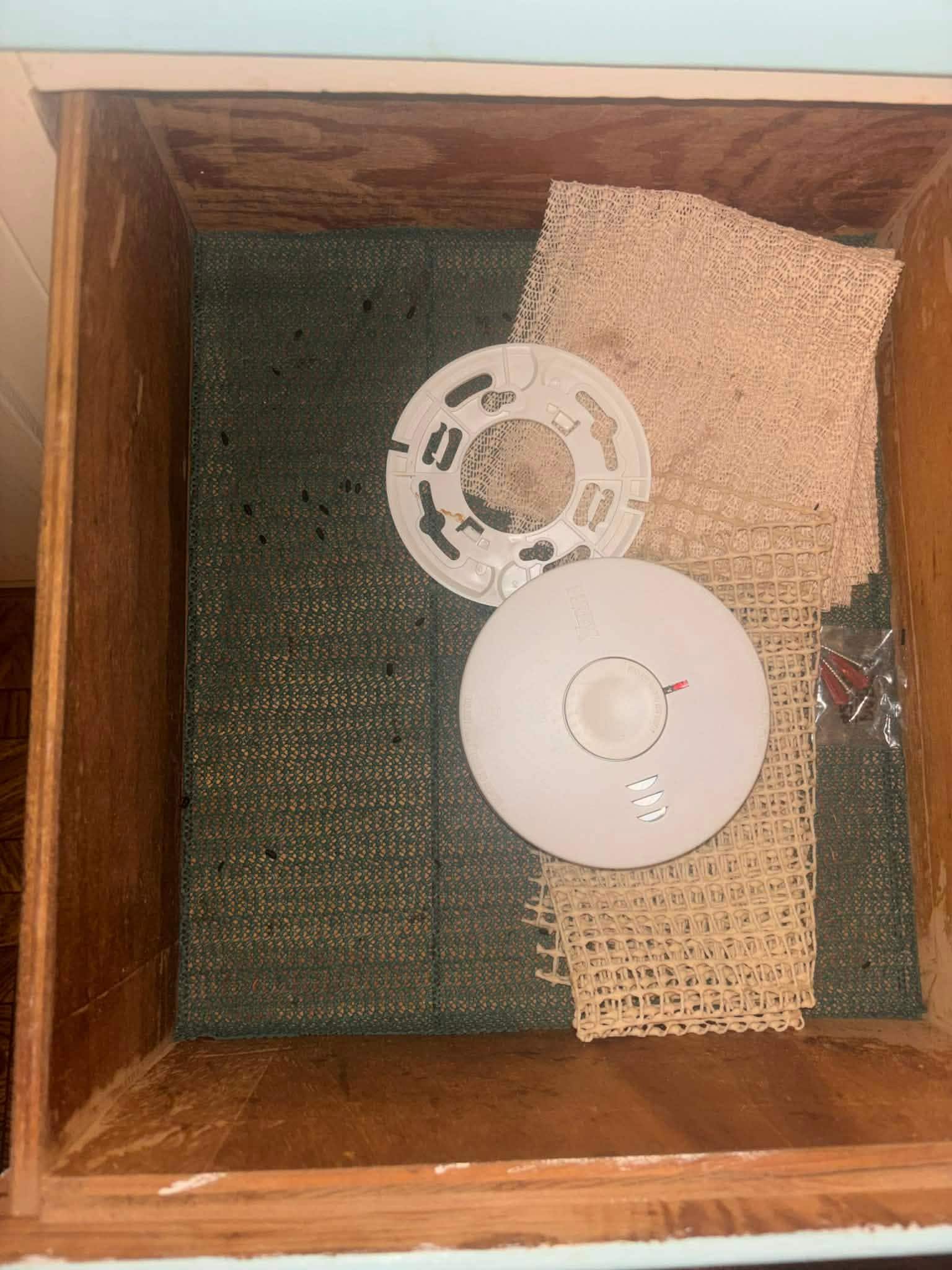 Mouse droppings in kitchen drawer