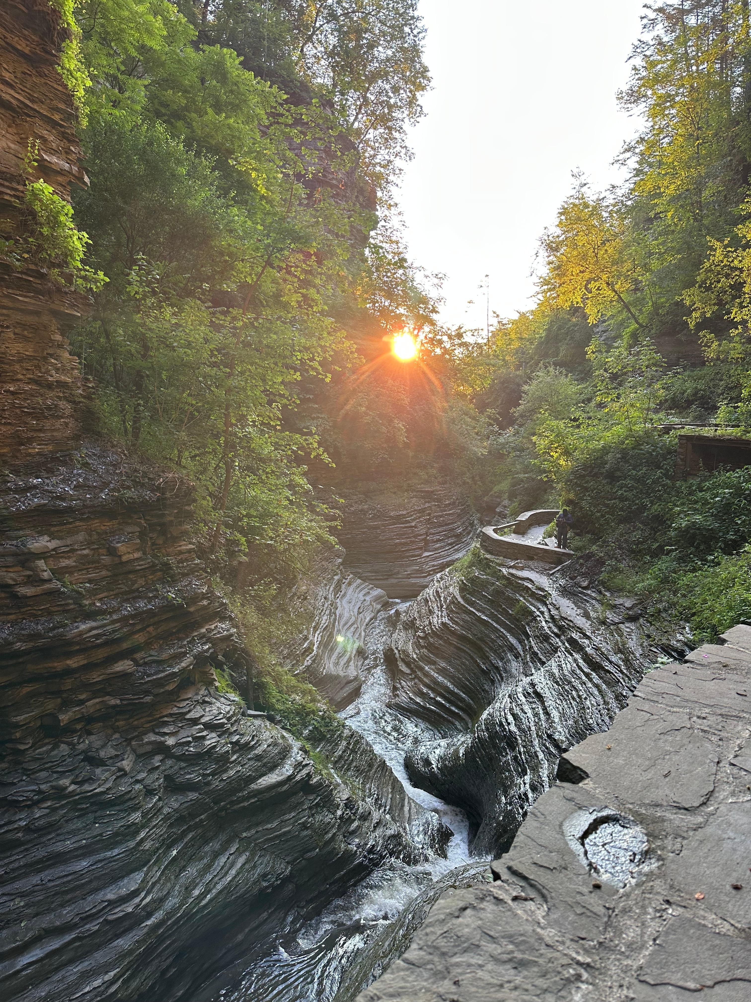 State Park at Watkins Glen
