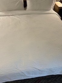 There’s a bug on this bed!