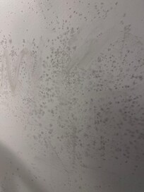 Mildew on fridge and in coffee maker