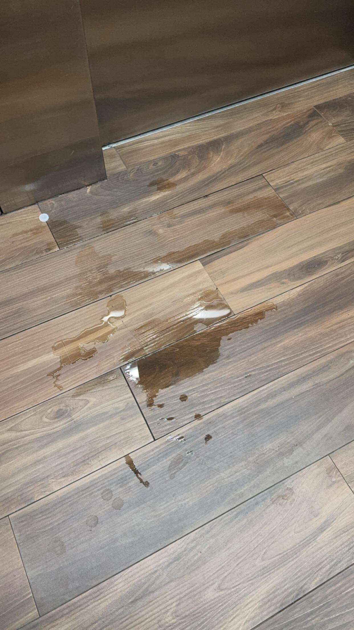 Puddle was there for several hours