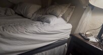 The bed with bed bug