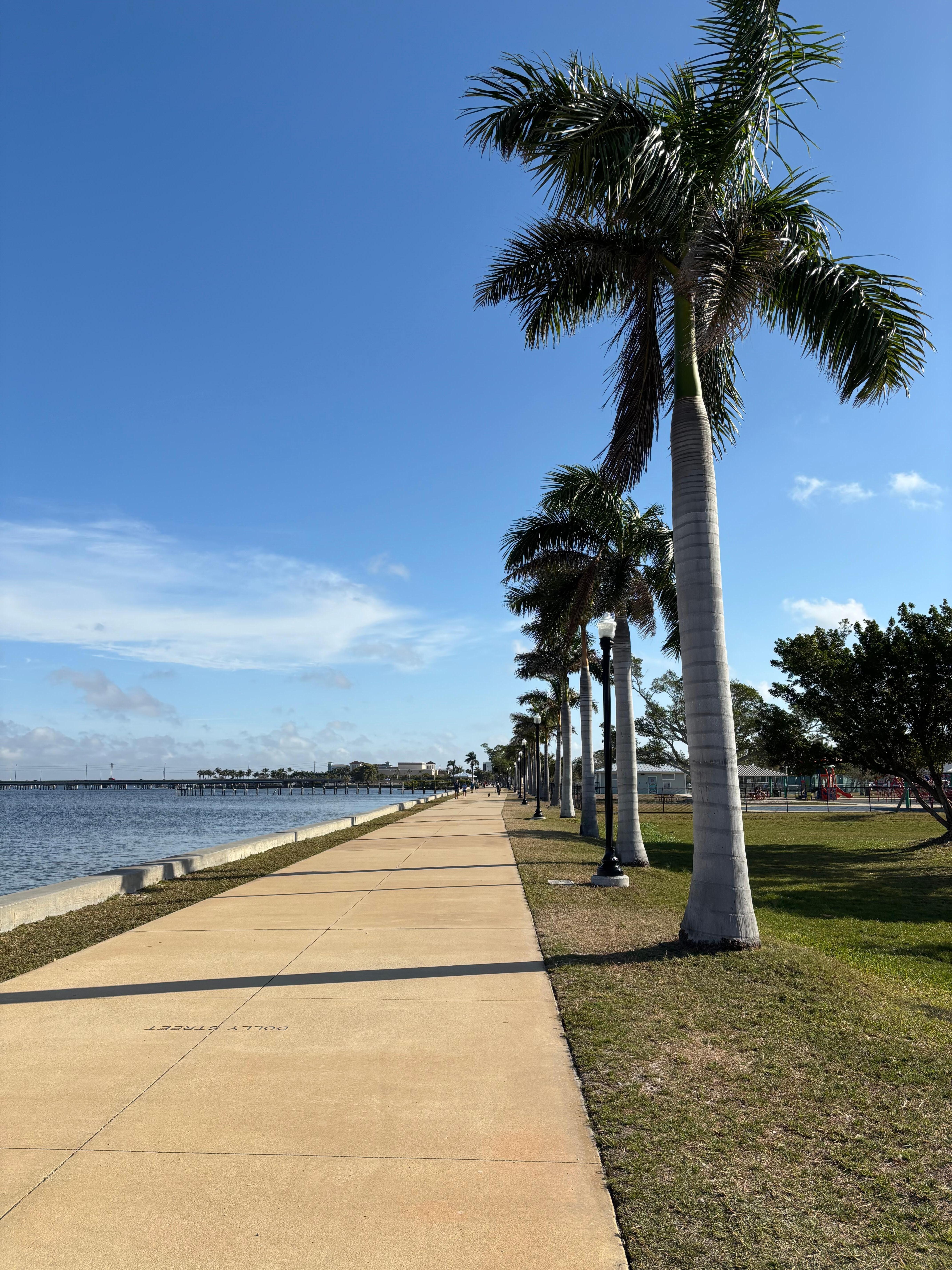 Boardwalk - we went for a walk every morning. 