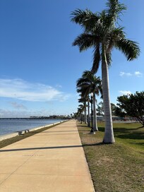 Boardwalk - we went for a walk every morning.