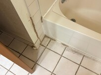 Some kind of grout repair, like a child did it.