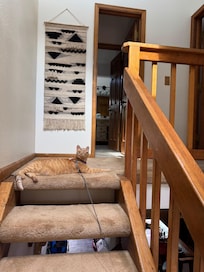 Alfredo gives the house two paws up!