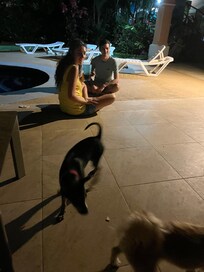 Friendly dog from the neighbors