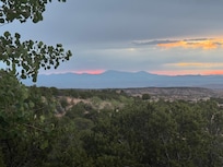 Patio view