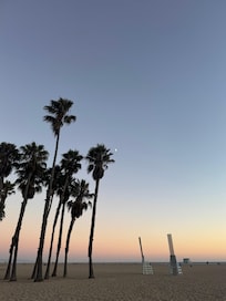 And the beach!