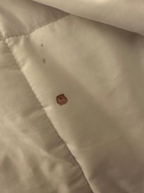 Blood spot on quilt