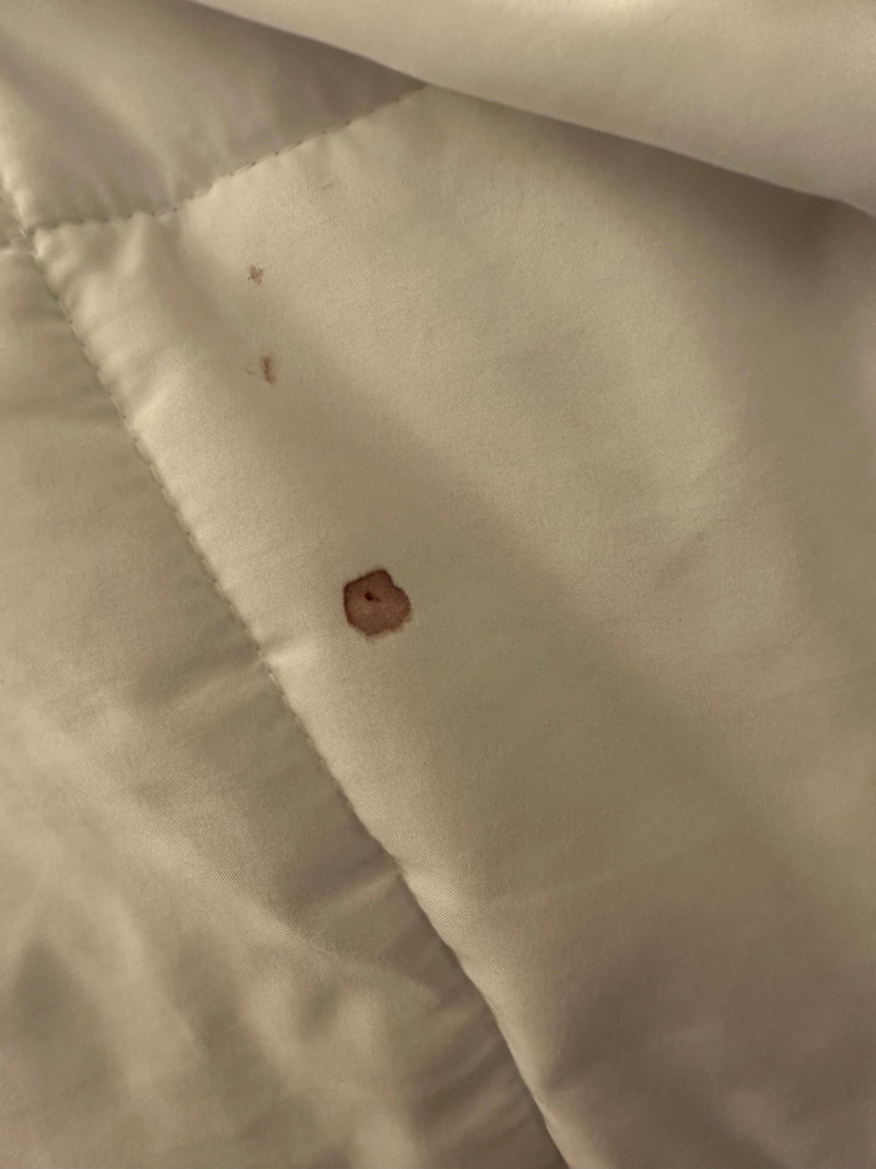 Blood spot on quilt