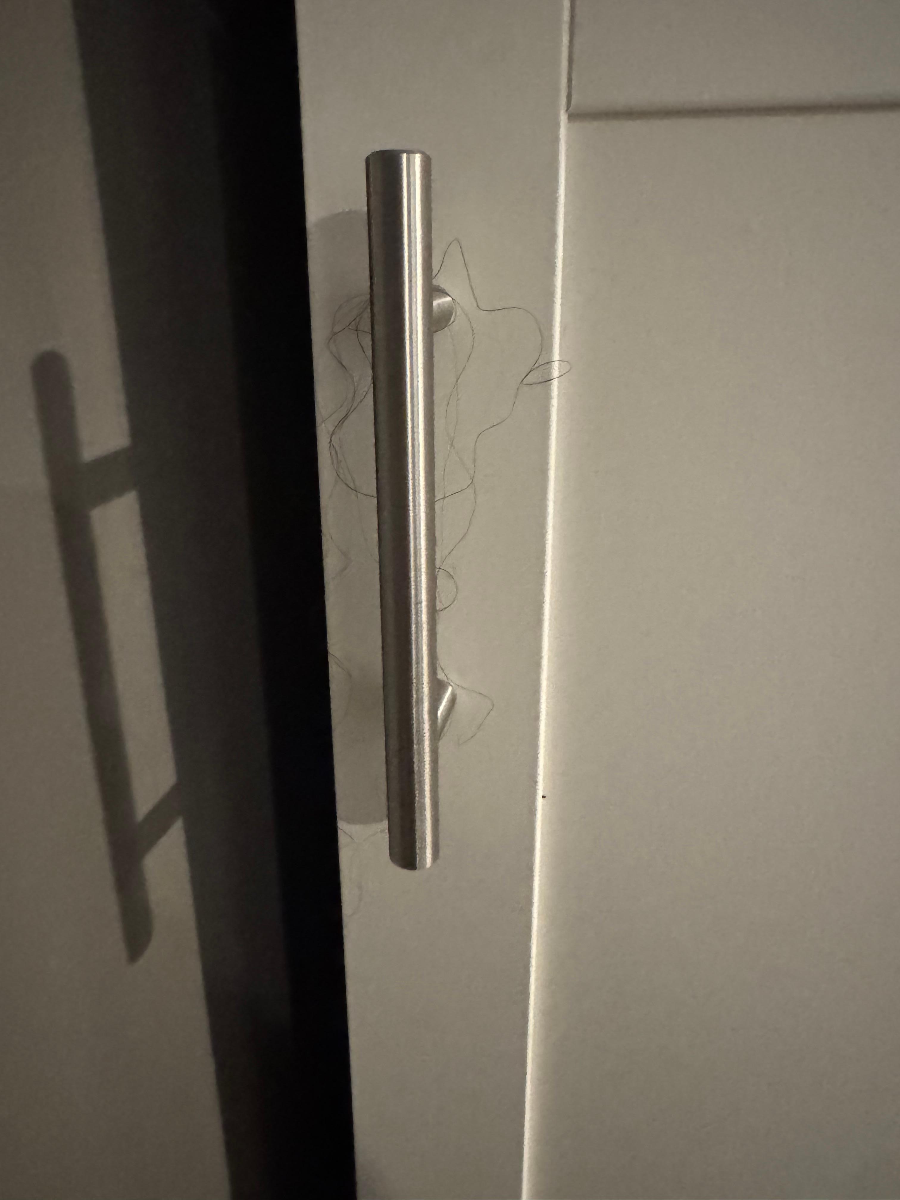 Human Hair everywhere - Kitchen Cabinet