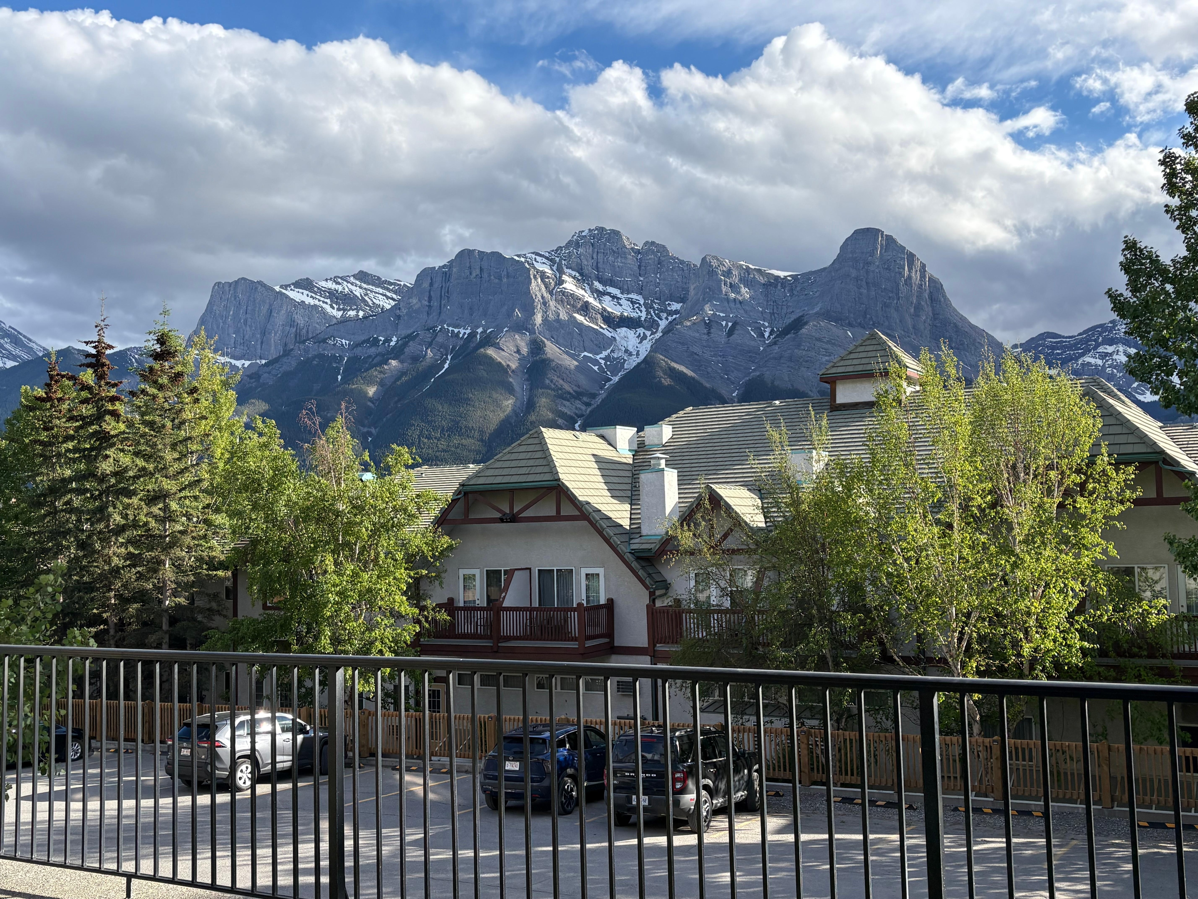 View out back window/patio
