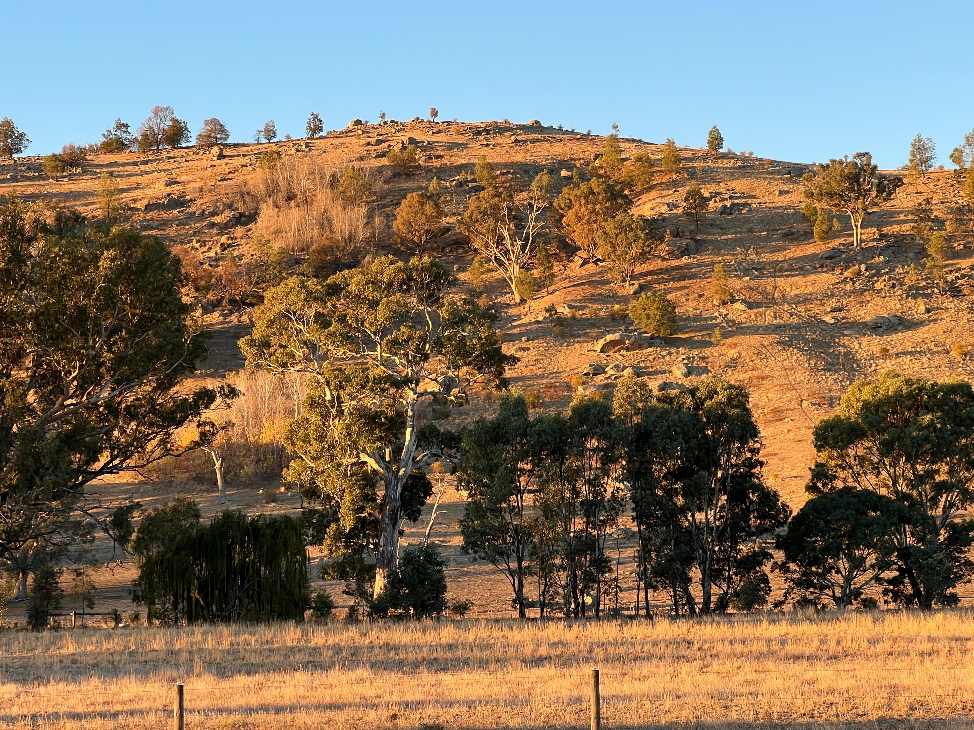 View from the house