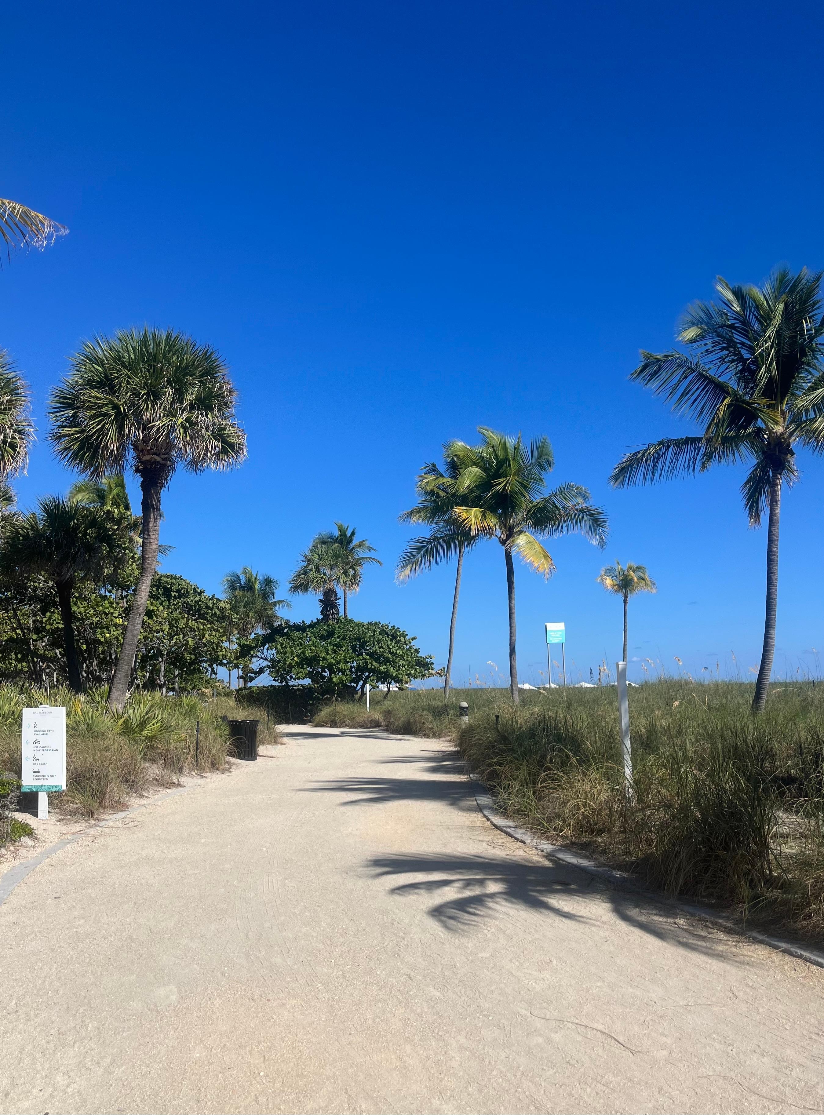 The fabulous bike/walking path.