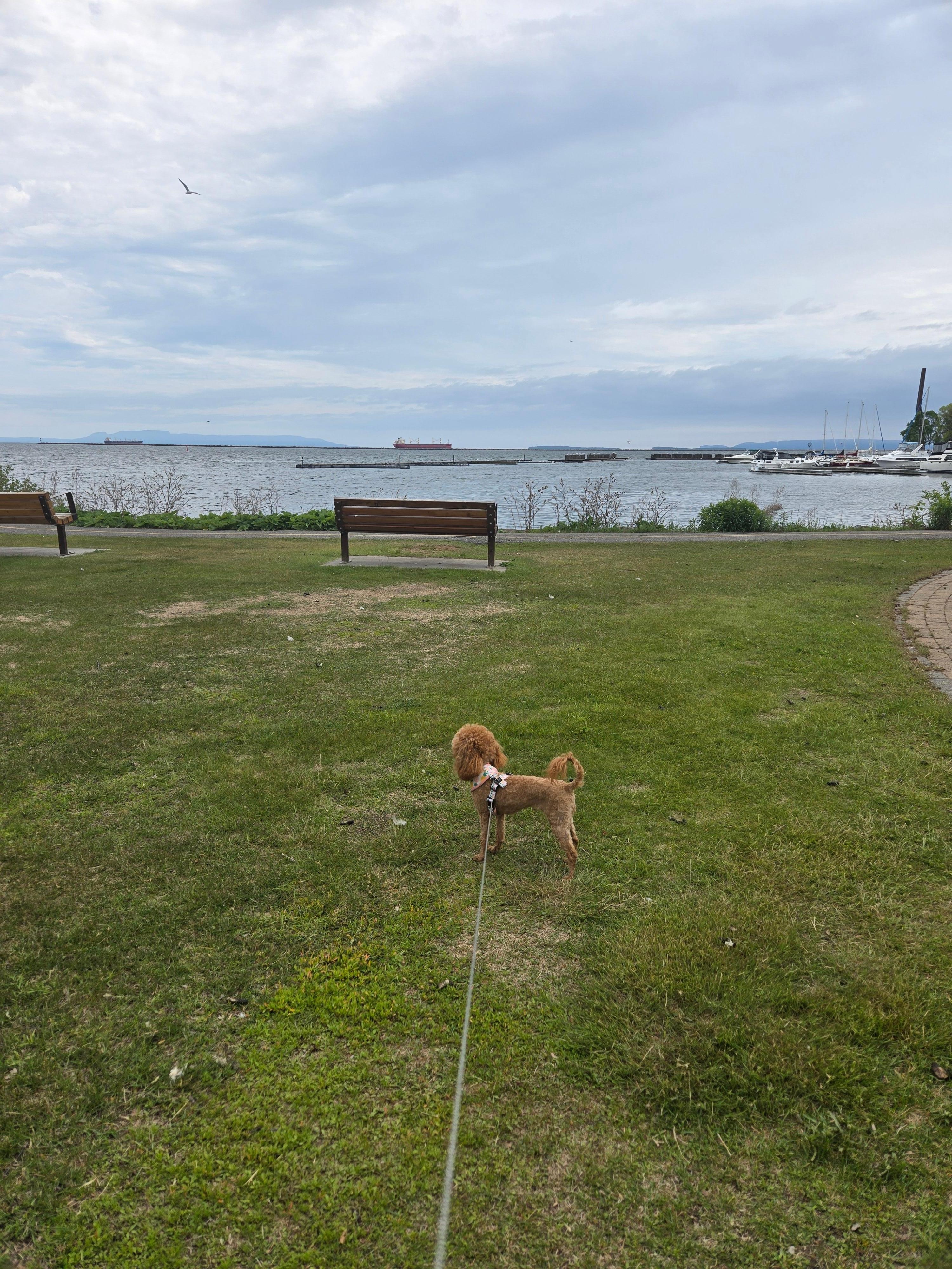 Marina Park