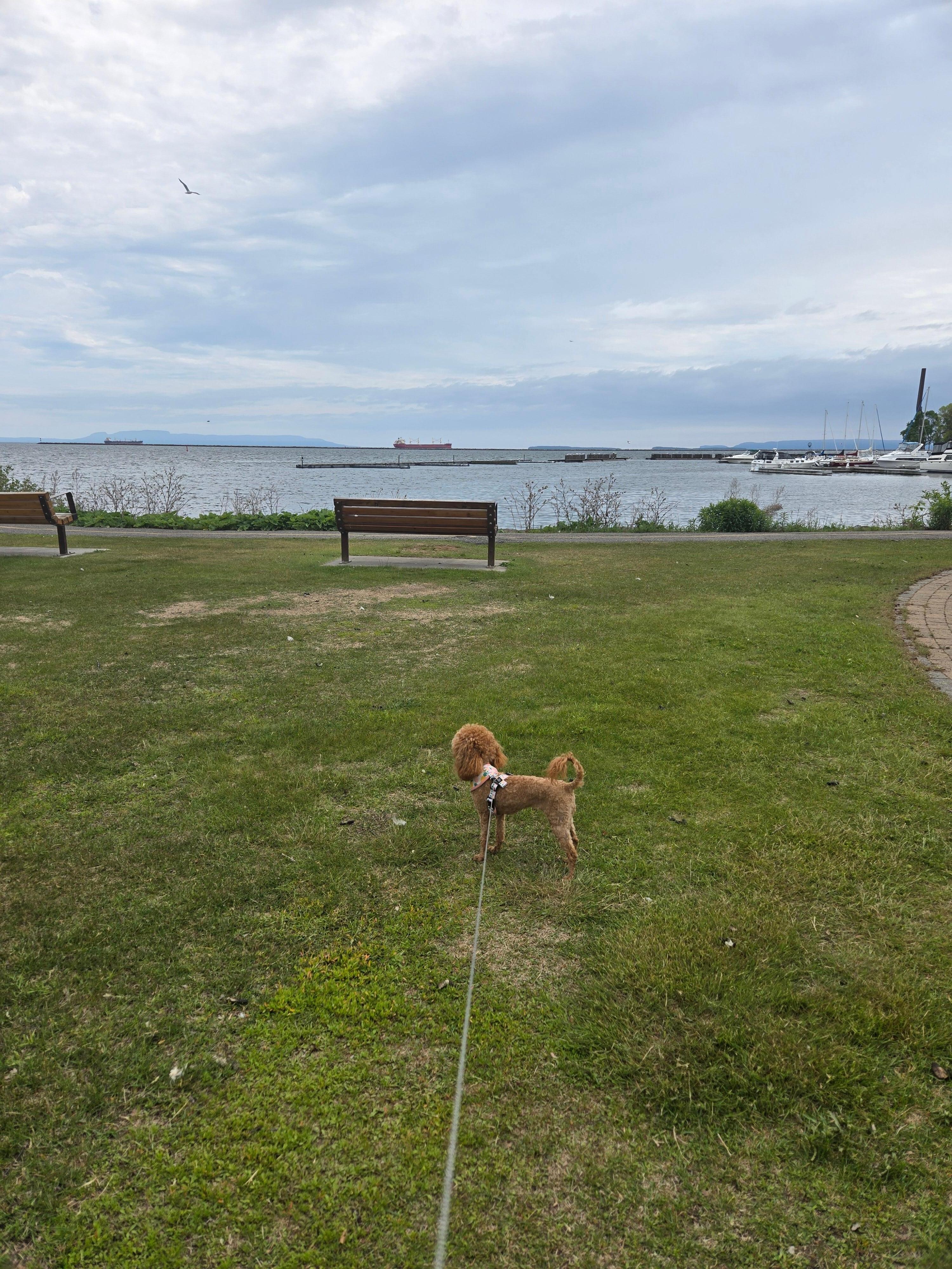 Marina Park