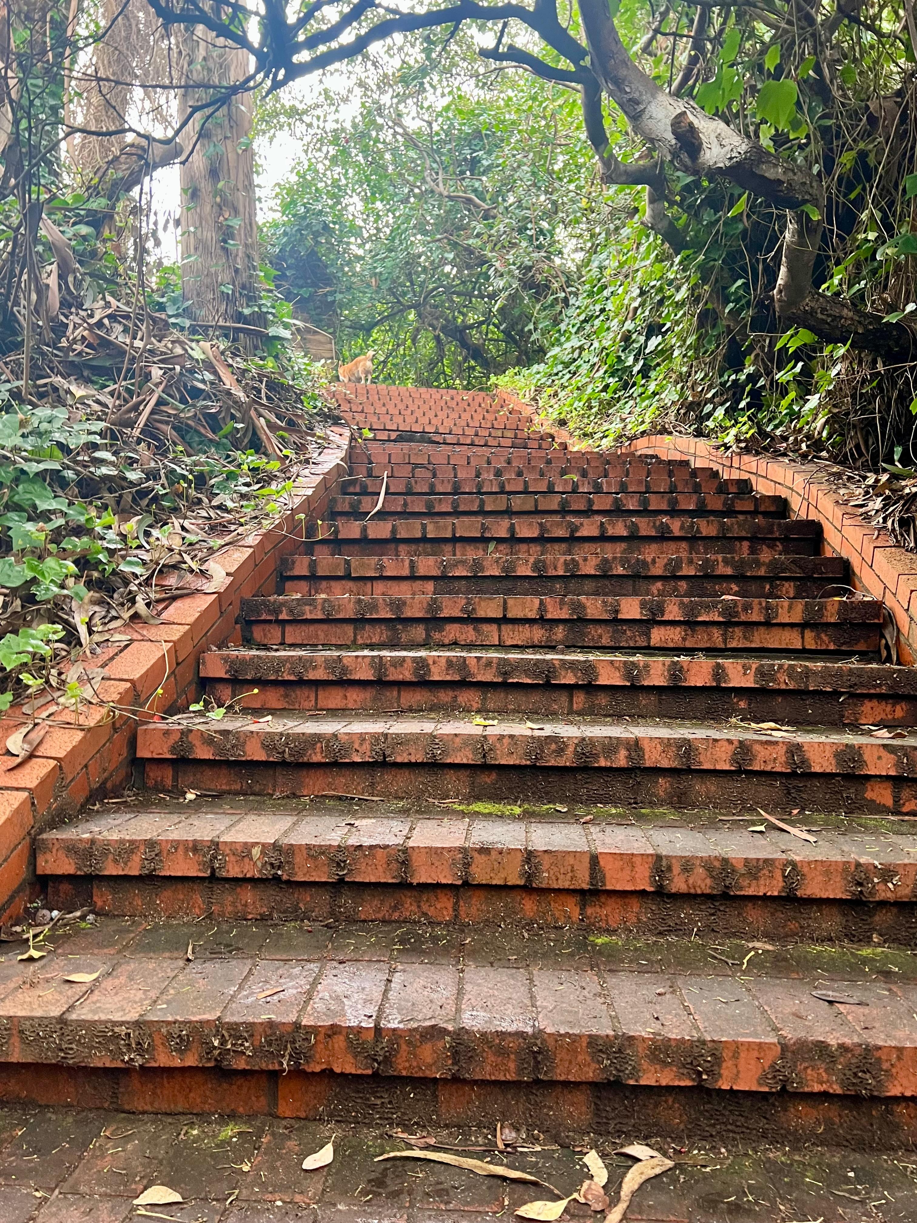 Private steps from the beach back up to the house