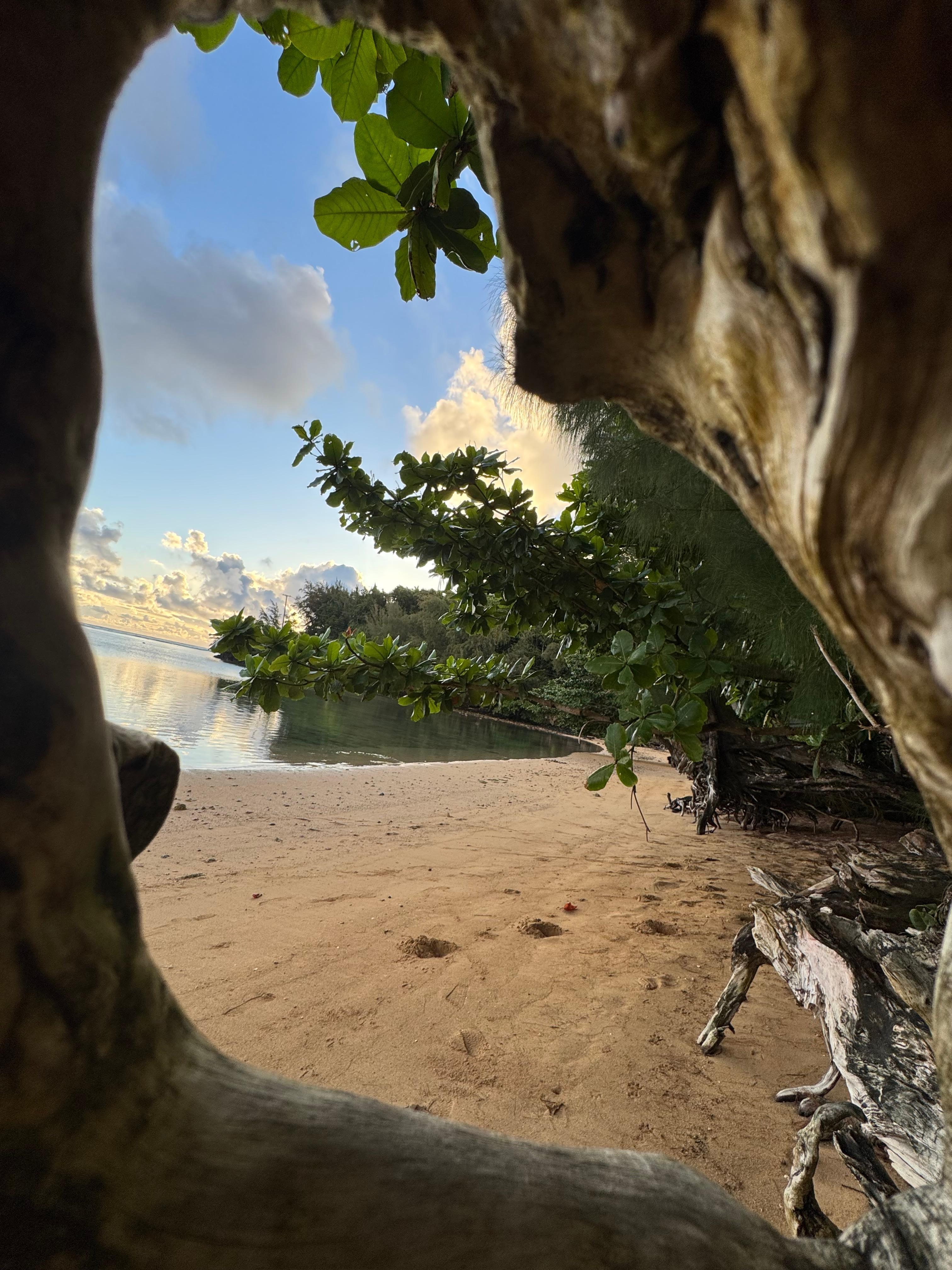 Anini Beach across the street from home.