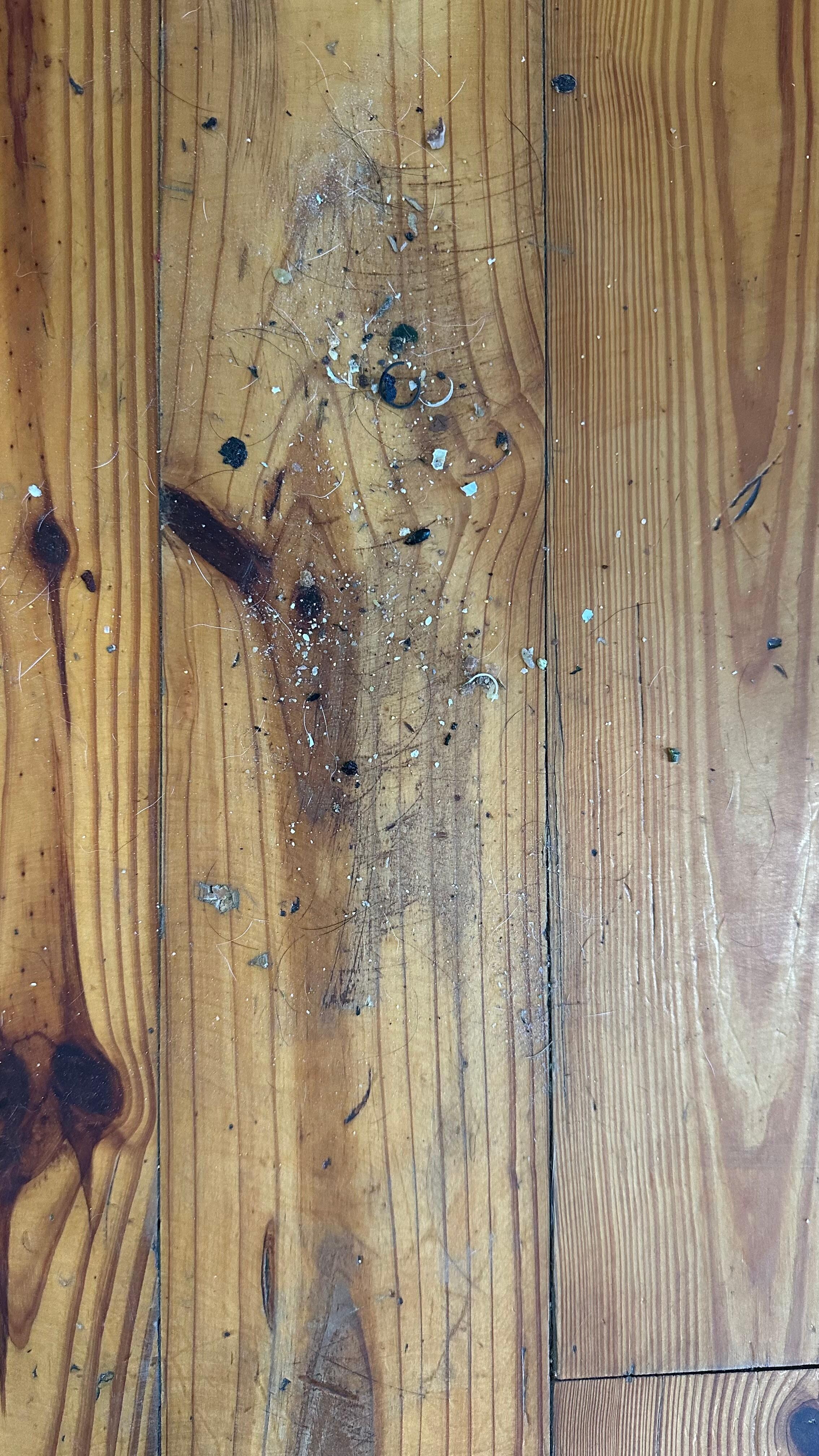 Some of the dirt from the kitchen