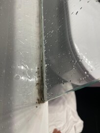Mold in the shower