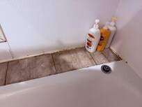 Moldy shower that leaks all over the floor