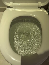 Blocked toilet