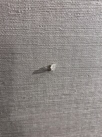 The wallpaper was like this when I got there.  It