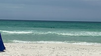 From the beach