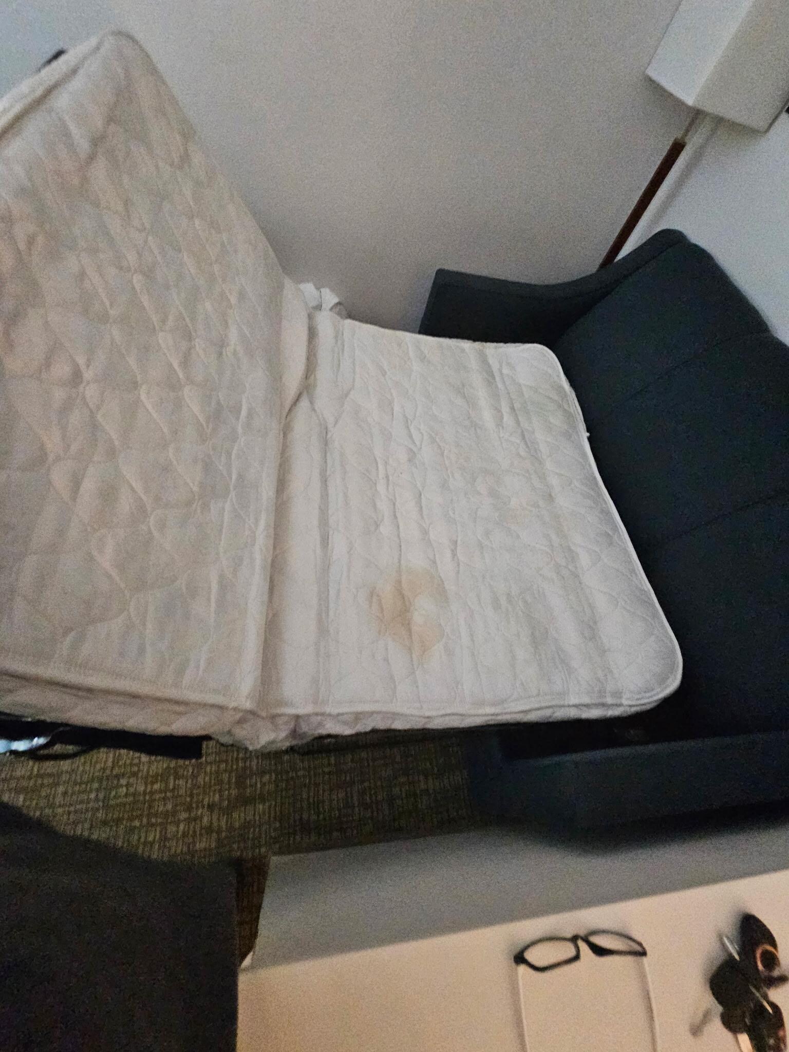 Pee stains